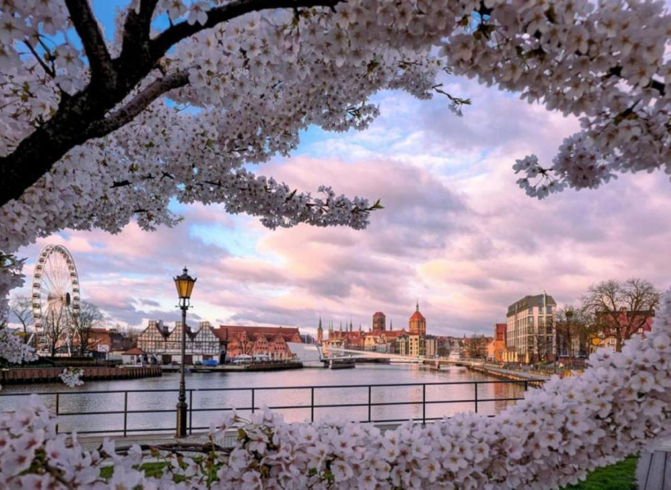 Baltic Gdansk Old Town Heart Aparthotel Εξωτερικό φωτογραφία